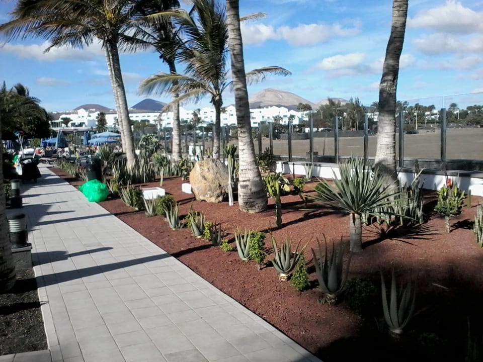 Garten alles schön und sehr! Sauber Hotel Las Costas