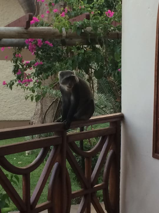 Zimmer Neptune Paradise Beach Resort & Spa