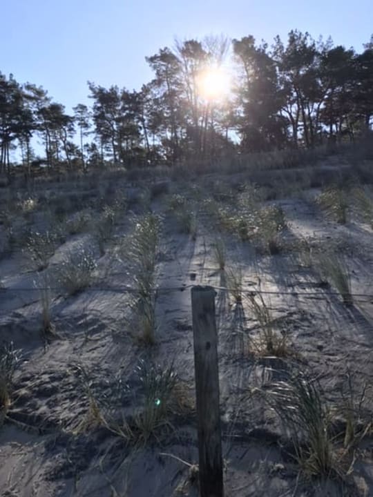 Strand Balmer See Hotel · Golf · Spa