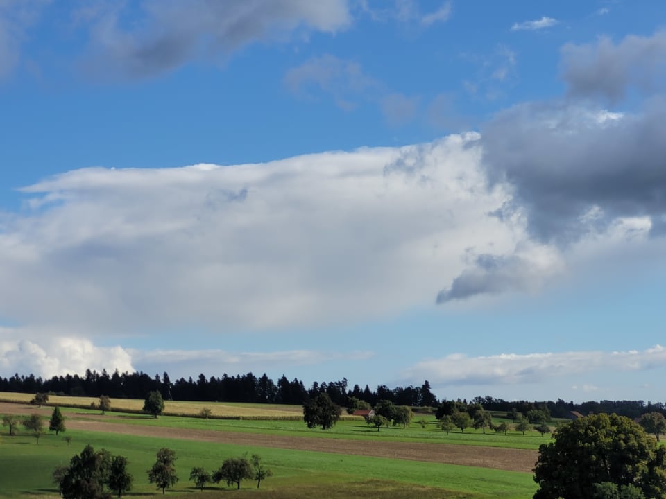 Ausblick Landhotel Talblick