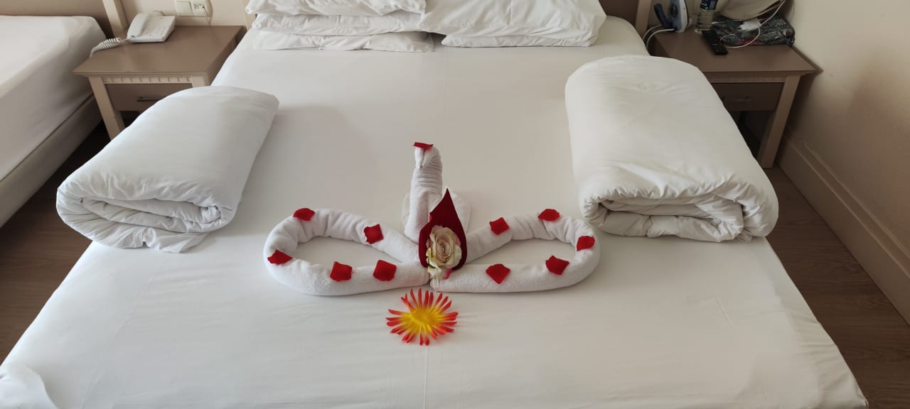 Zimmer Aydinbey Kings Palace & Spa