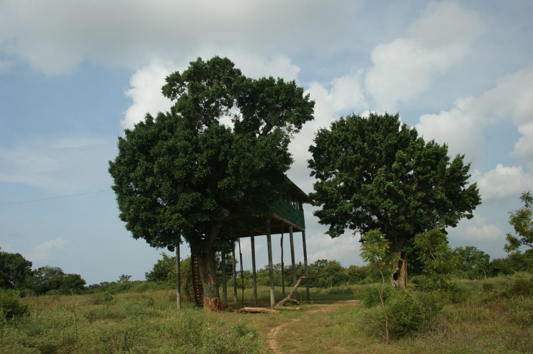 Kumars Baumhaus, eins von 6 Hotel Bentota Village