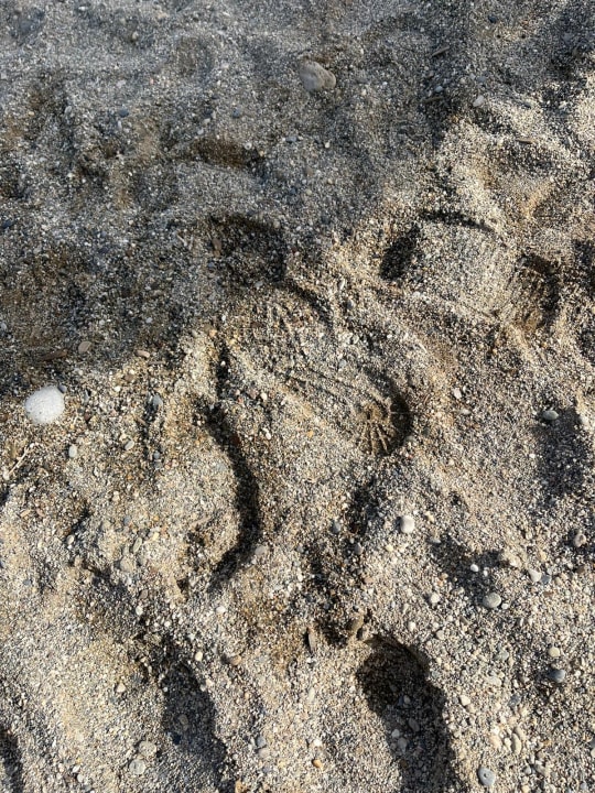 Strand Rethymno Palace