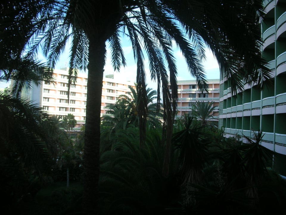 Ausblick 2. Zimmer Abora Buenaventura by Lopesan Hotels