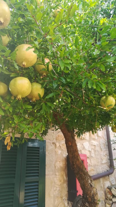 Garten Hotel Son Trobat Wellness & Spa