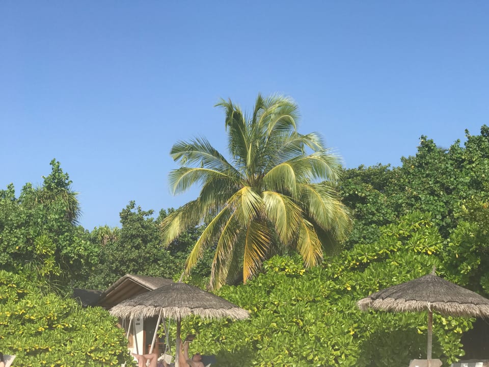 Gartenanlage NH Collection Maldives Reethi Resort