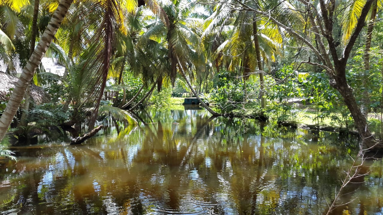 Massagebereich Wyndham Alltra Samana