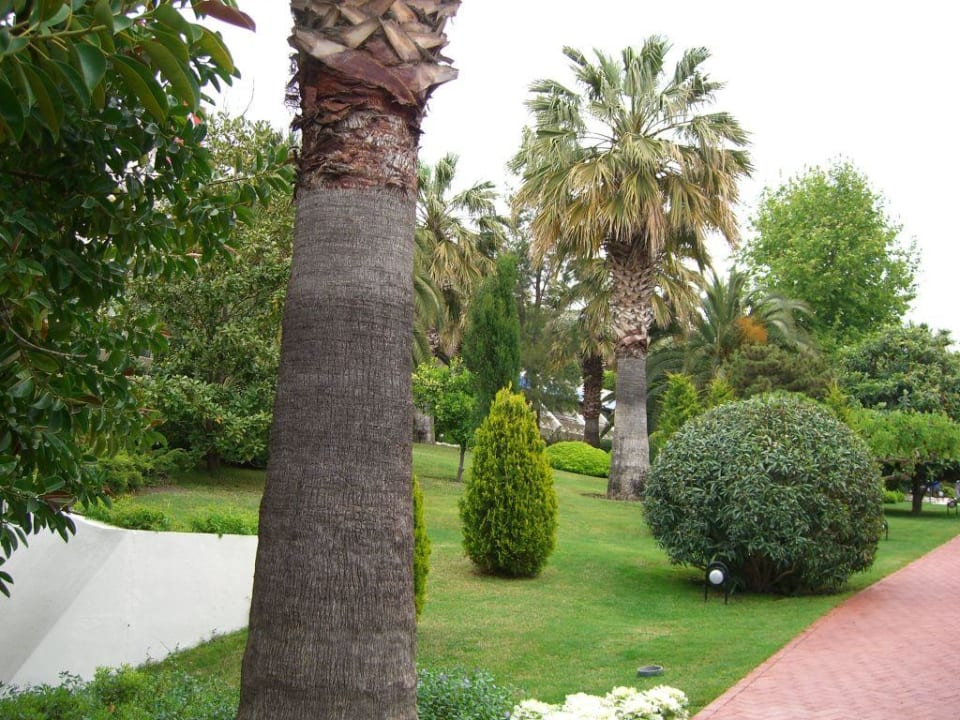 Ein Ausschnitt aus der Parkanlage Side Star Elegance