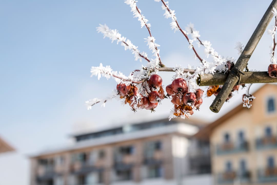 Sonstiges Das Stemp Wellnessresort