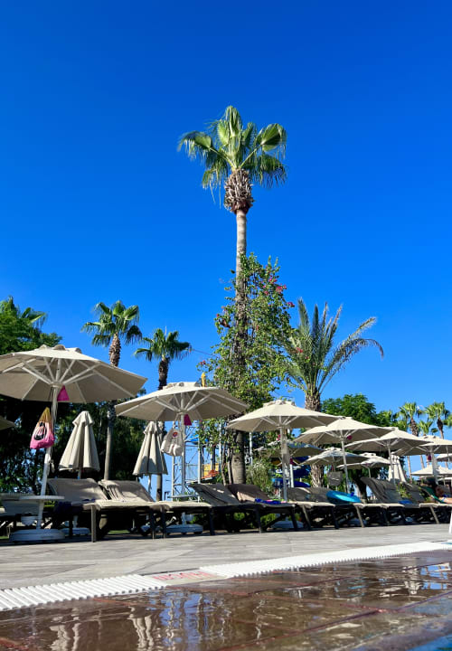 Pool Arum Barut Collection