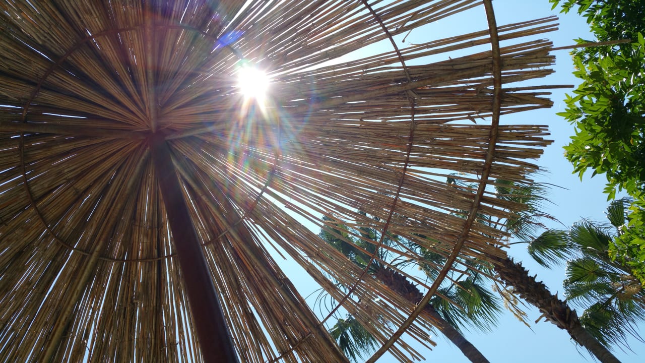 Sonstiges Club Turtas Beach Hotel