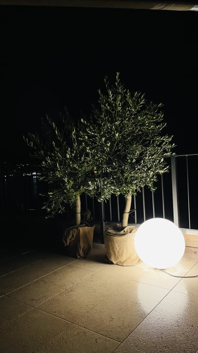 Ausblick PAPA RHEIN - Hotel & Spa