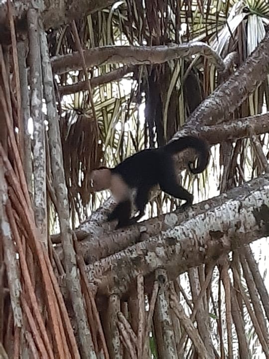 Gartenanlage Hotel Aninga Lodge