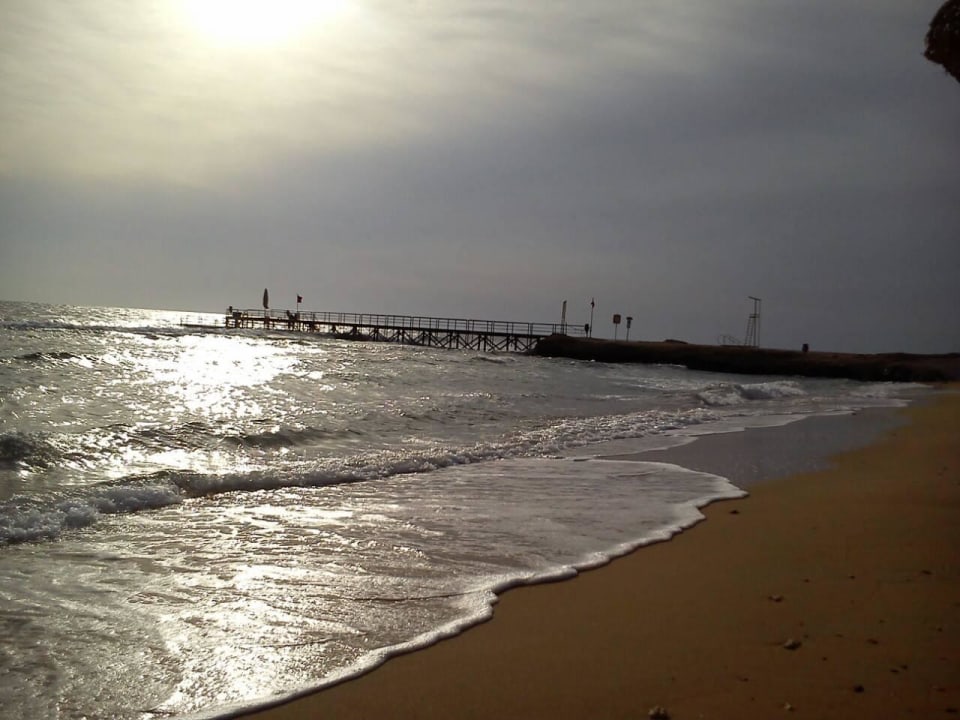 Sea Serenity Alpha Beach