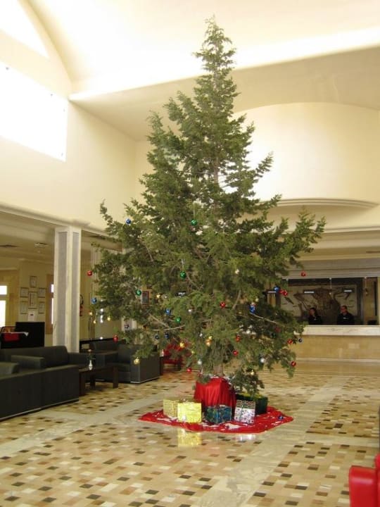 Weihnachtsbaum in der Lobby TUI MAGIC LIFE Penelope Beach