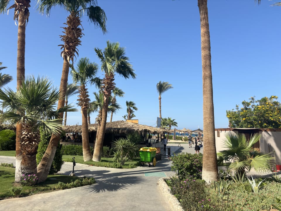 Gartenanlage Steigenberger Makadi Hotel - Adults only