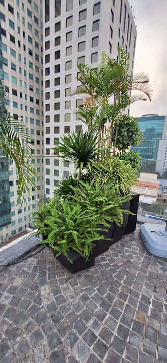 Gartenanlage Bach Suites Saigon, a Member of Design Hotels