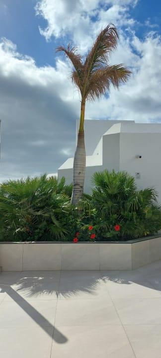 Gartenanlage Hotel Riu Palace Jandia