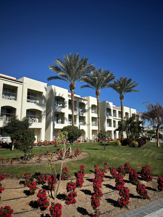 Außenansicht Pickalbatros Dana Beach Resort - Hurghada