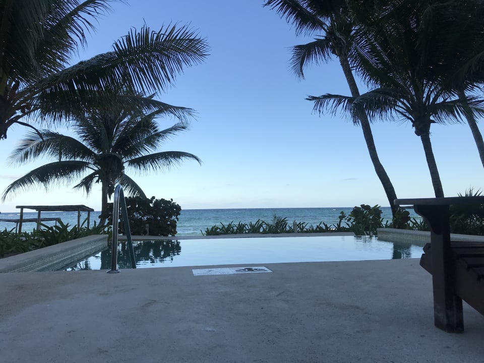 Pool Akumal Bay Beach & Wellness Resort