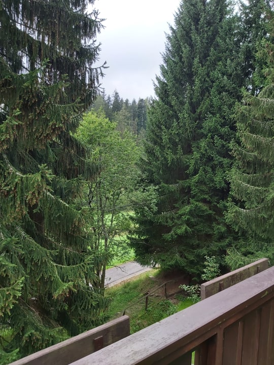 Ausblick Hotel Luční Dům