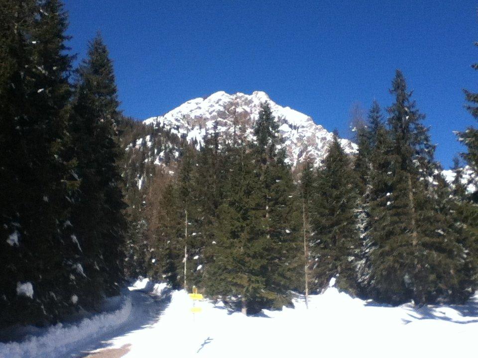Impression Lesachtal Almwellness-Resort Tuffbad