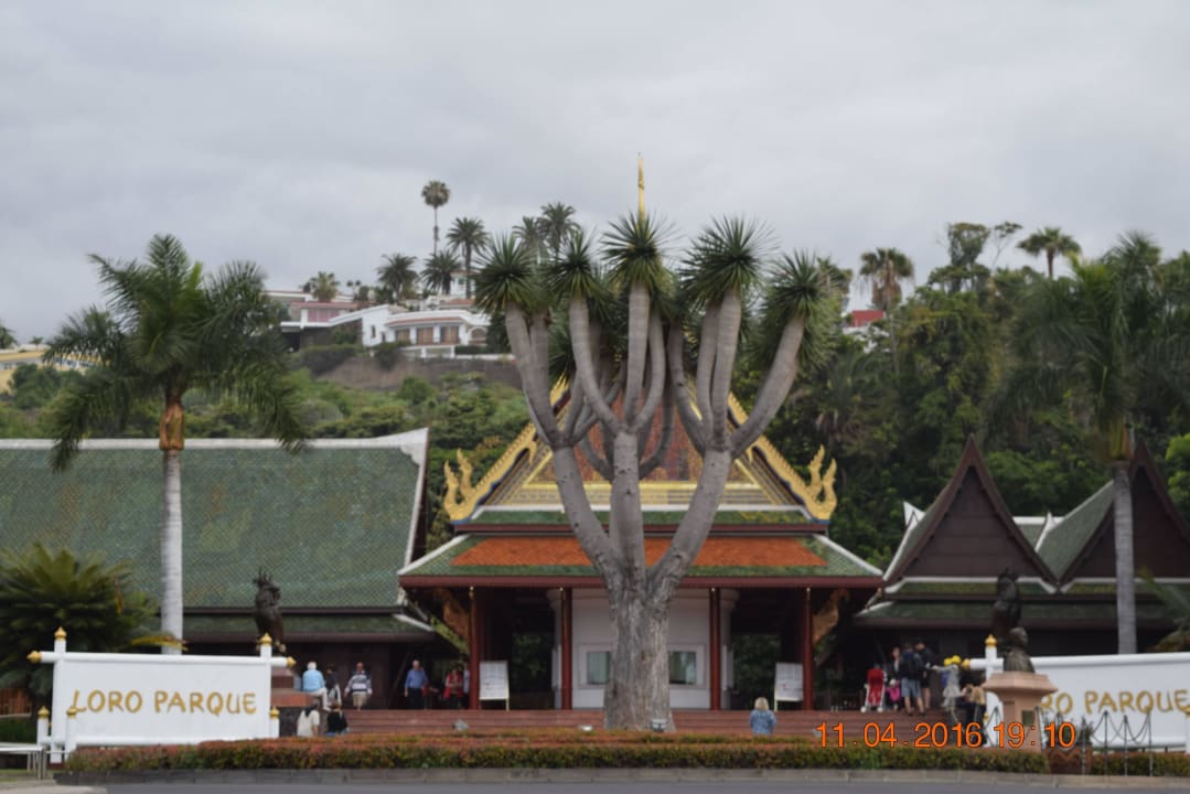 Berühmte Loro Park Hotel Atlantic El Tope