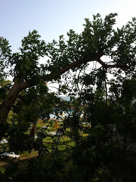 Ausblick vom Balkon  Mahdia Beach & Aquapark