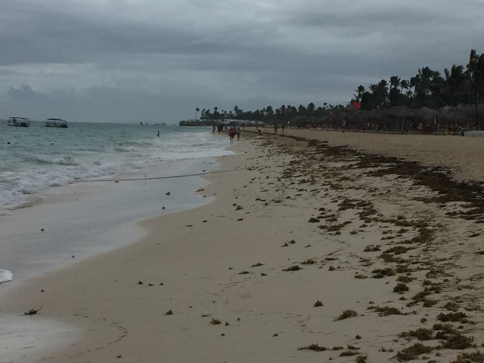 Strand Hotel Riu Palace Bavaro
