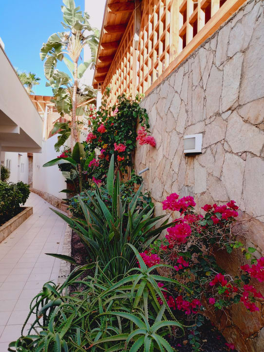 Gartenanlage Marina Playa Suite Hotel