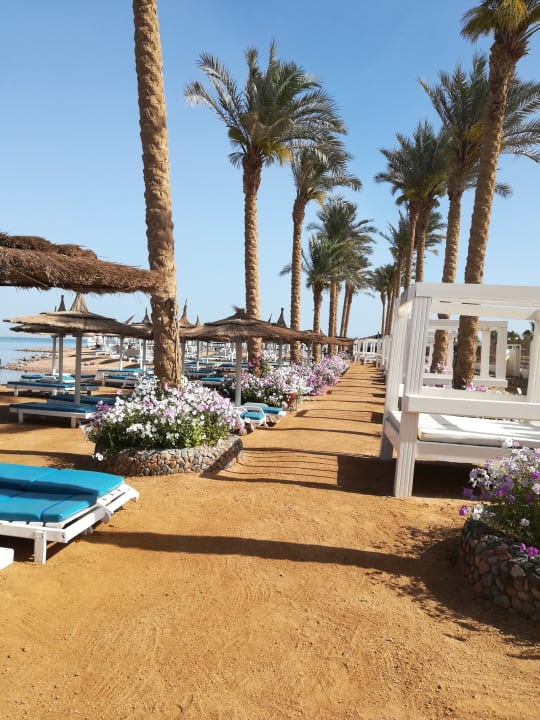 Außenansicht Pickalbatros Dana Beach Resort - Hurghada