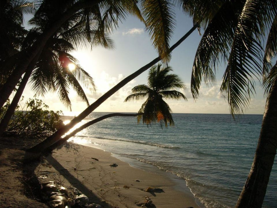 Abendstimmung Fihalhohi Maldives