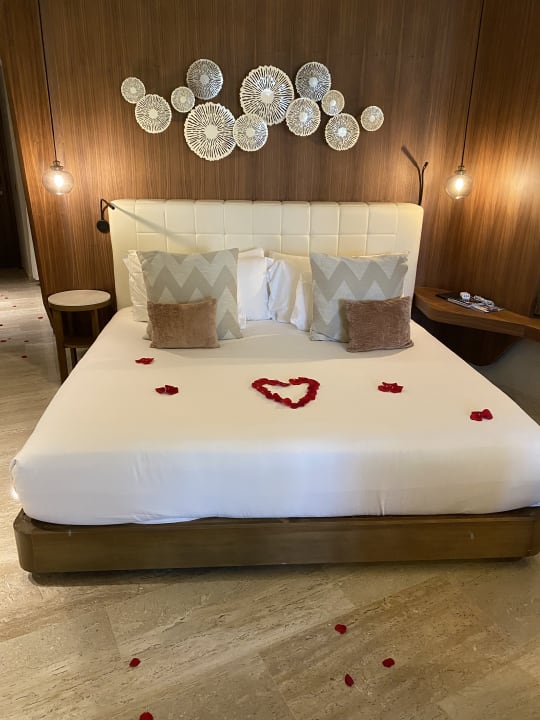 Zimmer TRS Coral Hotel - Adults Only