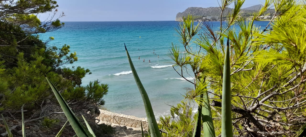 Ausblick Universal Hotel Lido Park & Spa