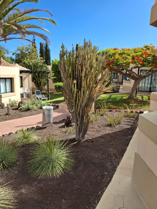 Gartenanlage allsun Hotel Esplendido