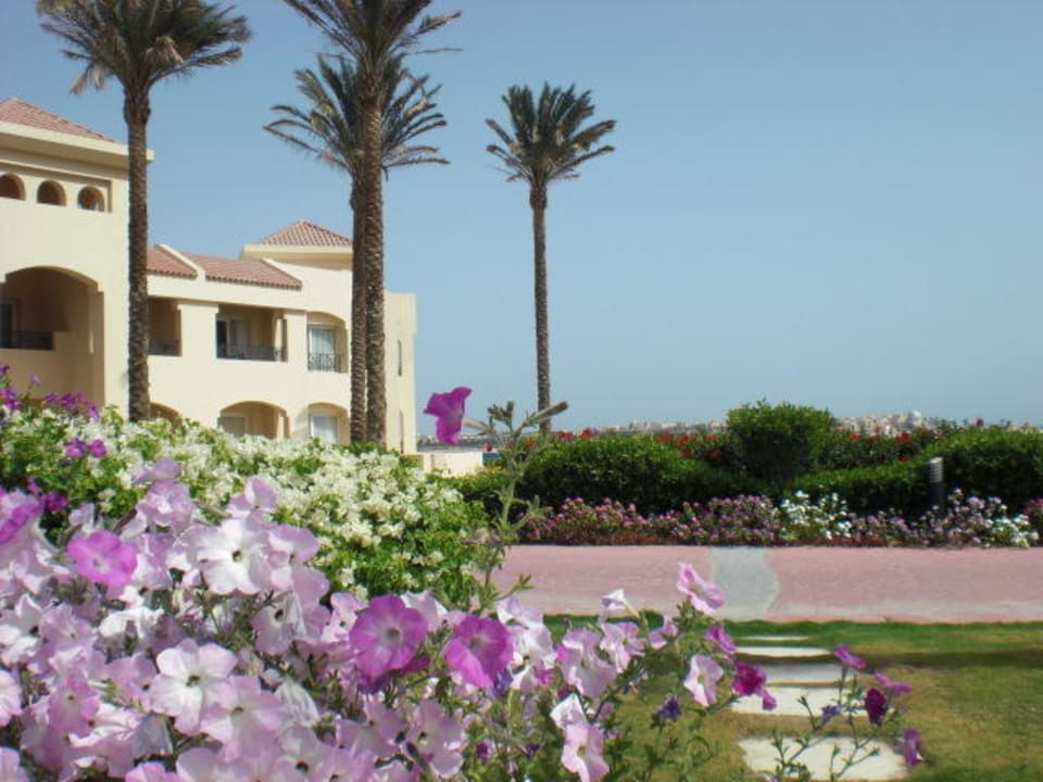 Garten Cleopatra Luxury Resort Makadi Bay