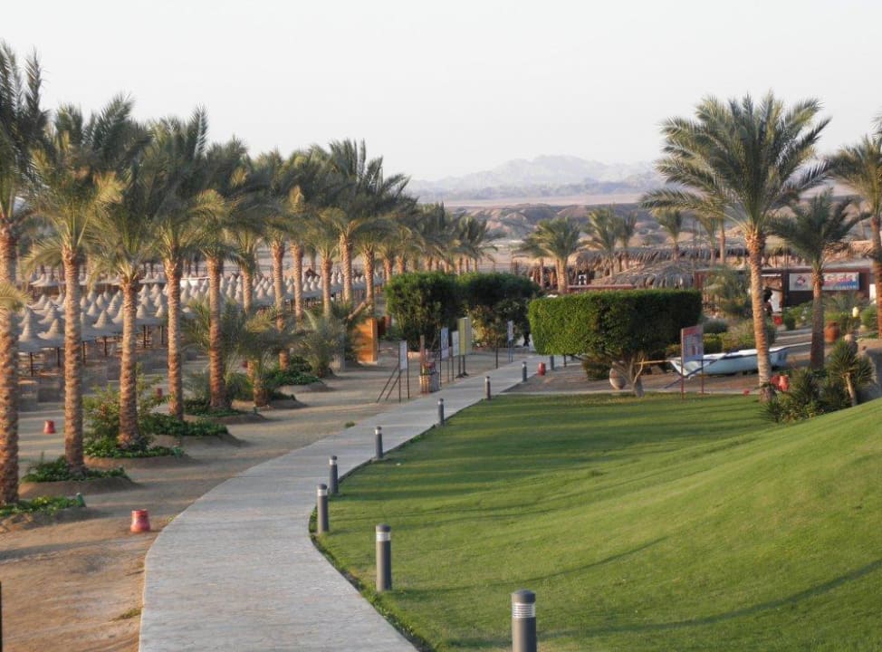 Joggingstrecke Steigenberger Coraya Beach - Adults only