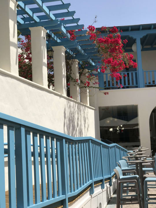 Sonstiges Alua Suites Fuerteventura