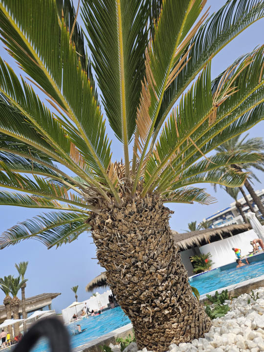 Pool Hotel Marhaba Club