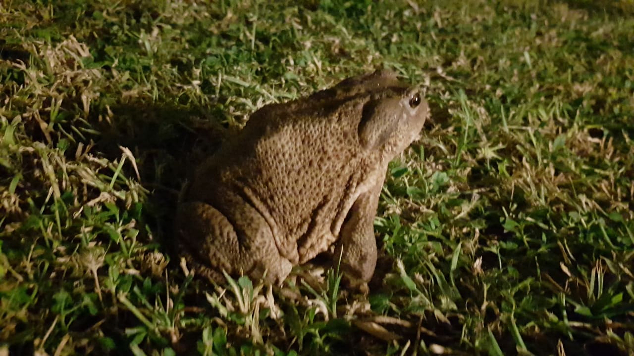 Sonstiges Labranda Alantur Resort