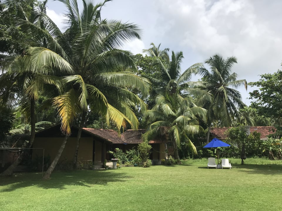 Gartenanlage Villa Velmarie Ayurveda Resort
