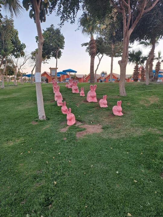 Gartenanlage Pickalbatros Jungle Aqua Park Resort - Neverland Hurghada