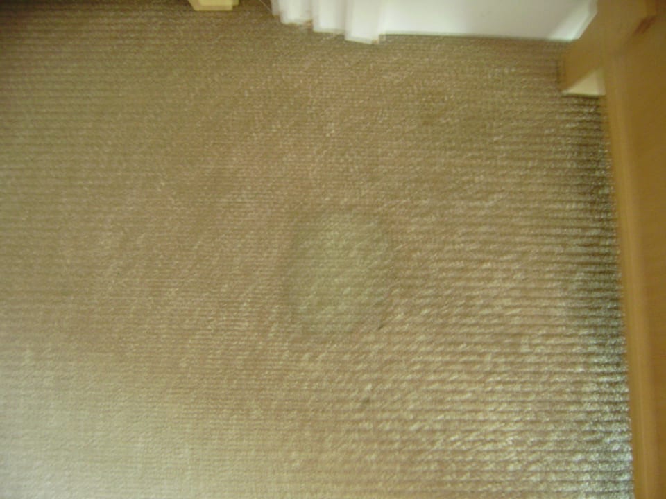 Einer von vielen in Nr. 1307 Rixos Premium Belek