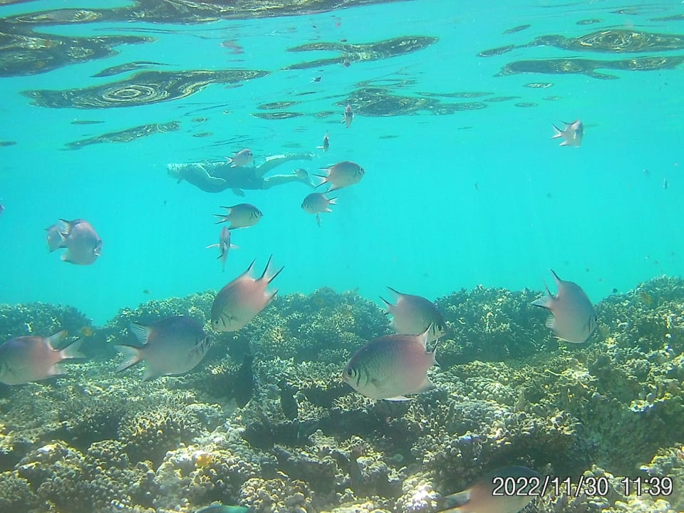 Sport & Freizeit Cleopatra Luxury Resort Makadi Bay