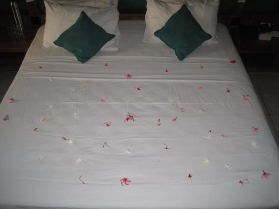 Bett am zweiten Tag Mermaid Hotel & Club