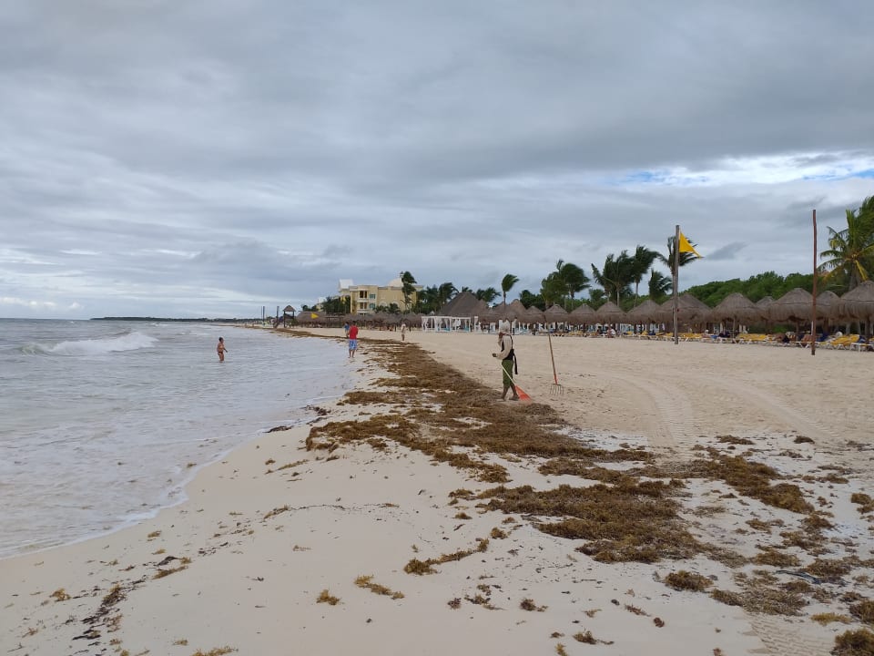 Strand Iberostar Selection Paraiso Maya Suites