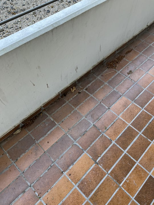 Außenansicht PLAZA Premium Timmendorfer Strand