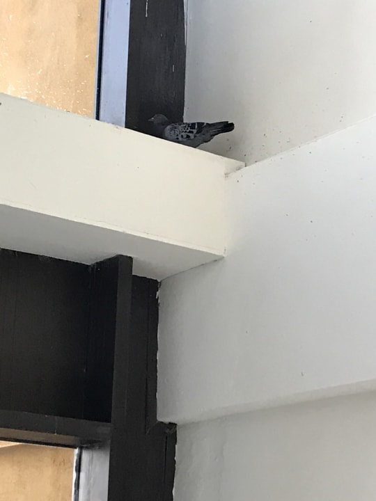 Sonstiges Occidental Jandía Royal Level - Adults only