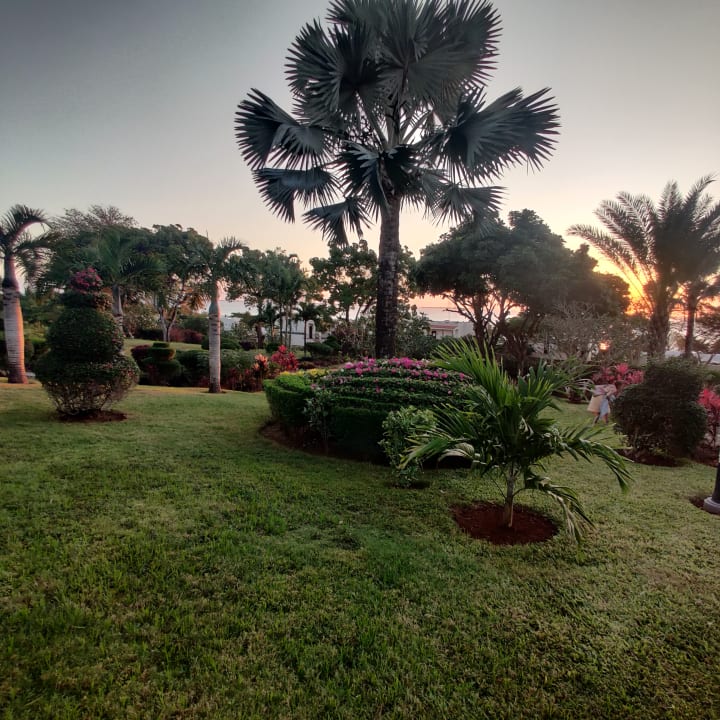 Gartenanlage Hotel Riu Palace Zanzibar
