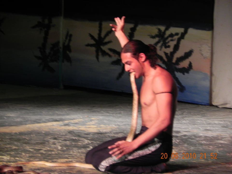 Kobra - Show Pickalbatros Alf Leila Wa Leila Resort - Neverland Hurghada